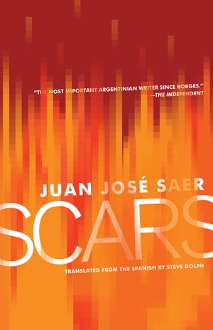 Scars image number 0