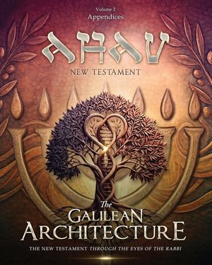 AHAV NEW TESTAMENT Volume 2: Appendices image number 0