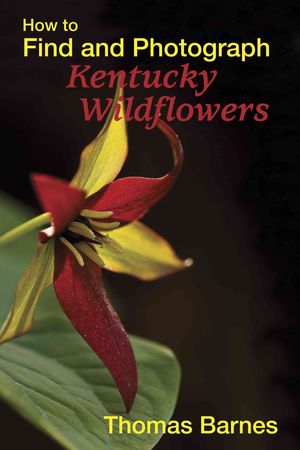 How to Find and Photograph Kentucky Wildflowers image number 0