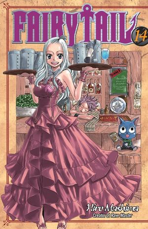 Fairy Tail V14 image number 0