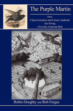 The Purple Martin: How Citizen Scientists and Colony Landlords Are Saving a Favorite American Bird image number 0