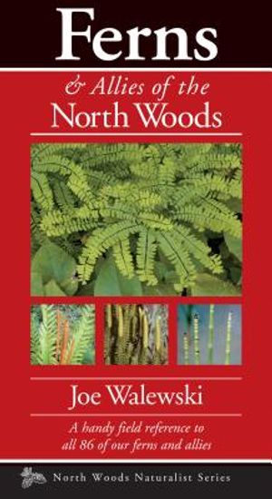 Ferns & Allies of the North Woods: A Handy Field Reference to All 86 of Our Ferns and Allies image number 0