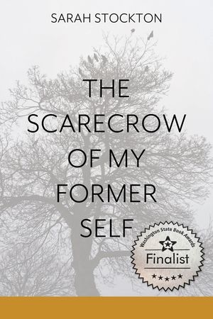The Scarecrow of My Former Self image number 0