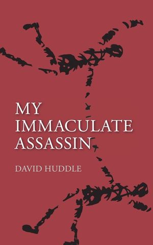 My Immaculate Assassin image number 0