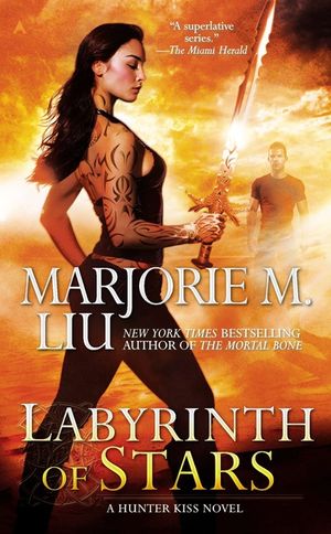 Labyrinth of Stars image number 0