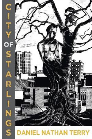 City of Starlings image number 0