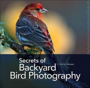 Secrets of Backyard Bird Photography image number 0