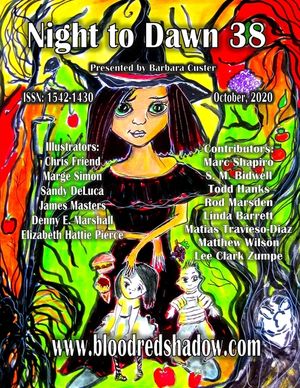 Night to Dawn 38 image number 0