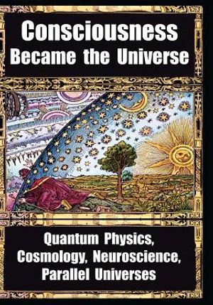 How Consciousness Became the Universe: Quantum Physics, Cosmology, Neuroscience, Parallel Universes image number 0