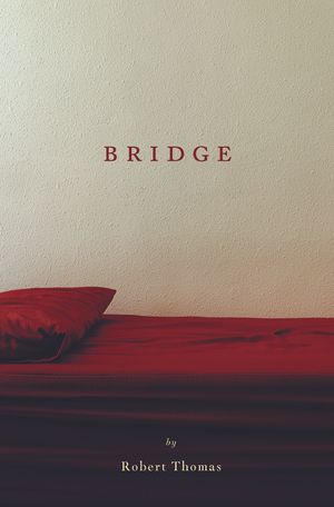 Bridge image number 0