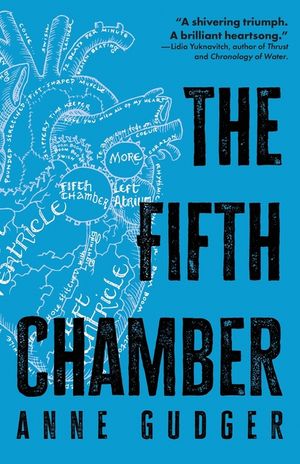 The Fifth Chamber image number 0