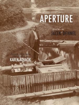 Aperture image number 0