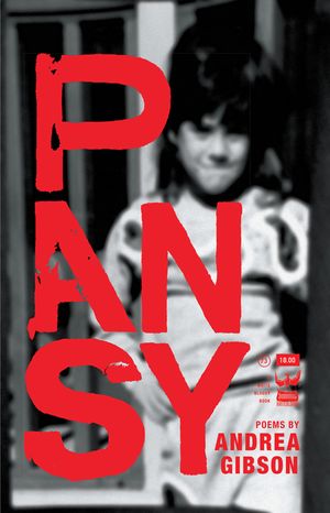 Pansy image number 0