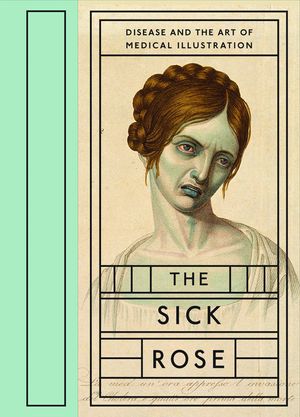 The Sick Rose: Disease and the Art of Medical Illustration image number 0