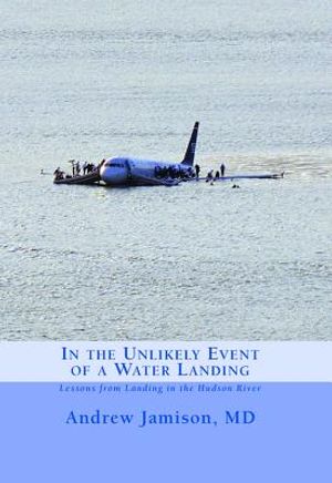 In the Unlikely Event of a Water Landing: Lessons from Landing in the Hudson River image number 0