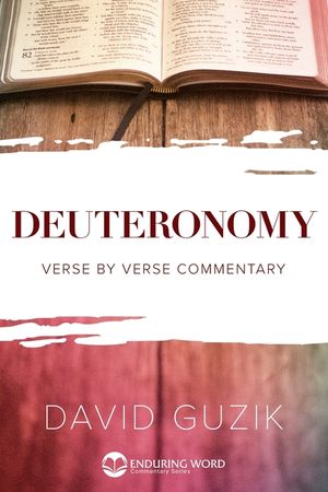 Deuteronomy image number 0