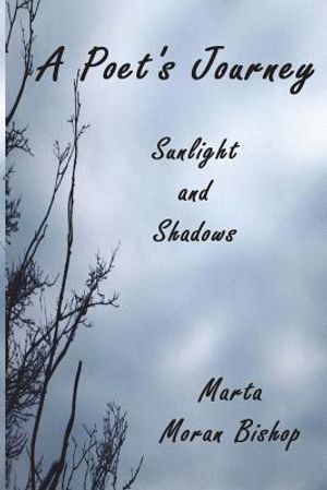 A Poet's Journey: Sunlight And Shadows image number 0