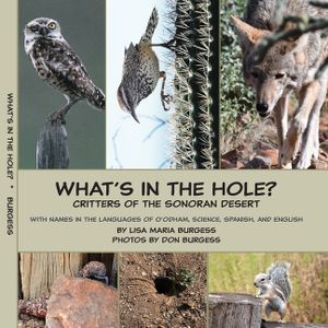 What's in the hole? Critters of the Sonoran Desert: with names in the languages of O'odham, Science, Spanish, and English image number 0