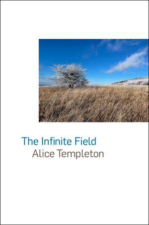 The Infinite Field image number 0