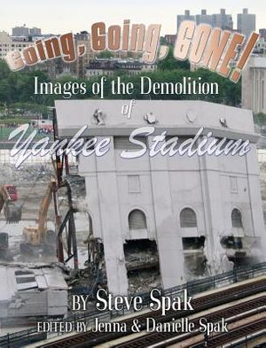 Going, Going, Gone! Images of the Demolition of Yankee Stadium image number 0