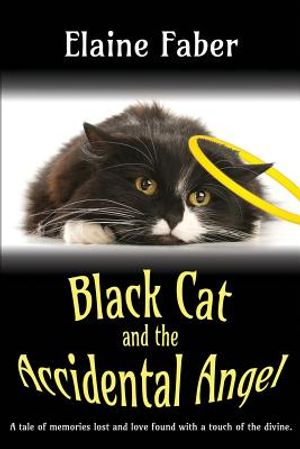 Black Cat and the Accidental Angel image number 0