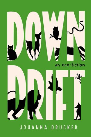 Downdrift image number 0