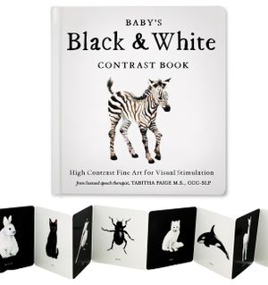 Baby's Black and White Book: High-Contrast Art for Visual Stimulation at Tummy Time image number 0