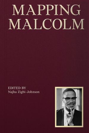 Mapping Malcolm image number 0
