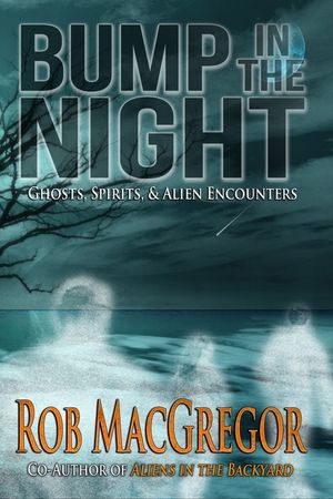 Bump in the Night image number 0