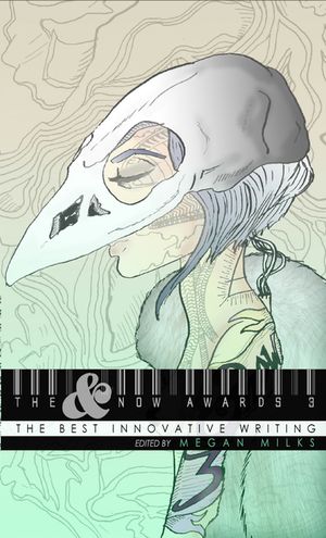 The &Now Awards 3: The Best Innovative Writing image number 0