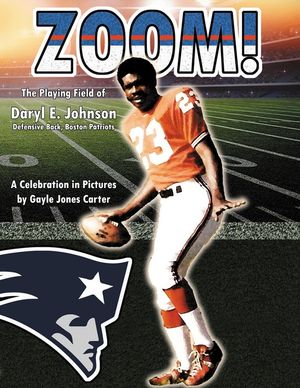 Zoom: The Playing Field of Daryl E. Johnson image number 0