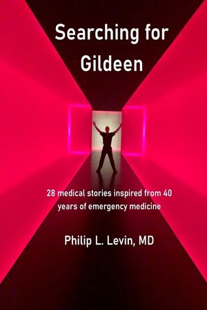 Searching for Gildeen: 28 medical short stories based on my 40 years of emergency medicine experience image number 0