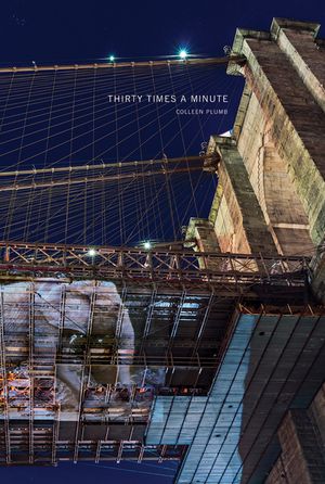 Colleen Plumb: Thirty Times a Minute image number 0