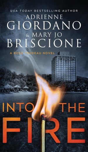 Into The Fire: A Gripping Amateur Sleuth Mystery image number 0