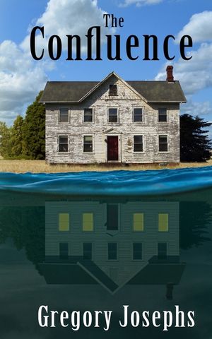 The Confluence image number 0