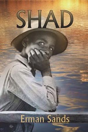 Shad image number 0