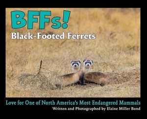 BFFs! Black-Footed Ferrets: Love for One of North Americas Most Endangered Species image number 0