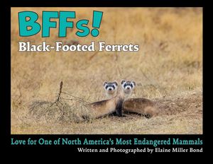 BFFs! Black-Footed Ferrets (Paperback): Love for One of North America's Most Endangered Mammals image number 0