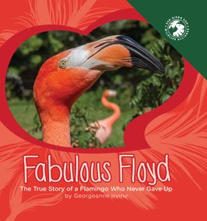 Fabulous Floyd: The True Story of a Flamingo Who Never Gave Up image number 0