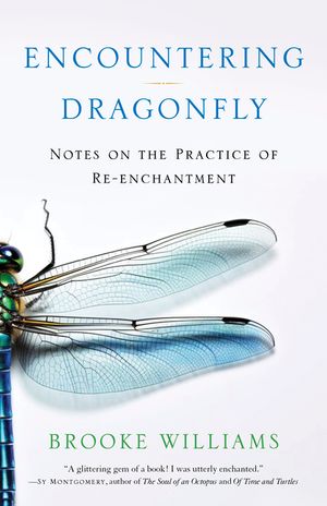 Encountering Dragonfly: Notes on the Re-Enchantment of the World image number 0