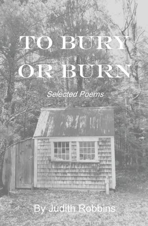 To Bury or Burn image number 0