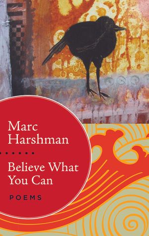 Believe What You Can: Poems image number 0