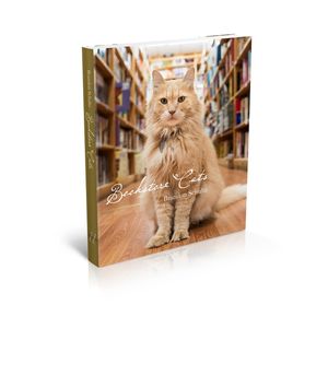 Bookstore Cats image number 0