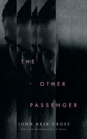 The Other Passenger (Valancourt 20th Century Classics) image number 0