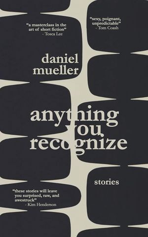 Anything You Recognize: Stories image number 0