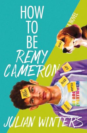 How to Be Remy Cameron image number 0