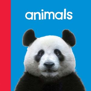 Baby Beginnings: Animals image number 0