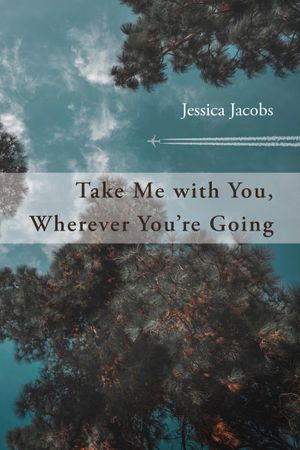 Take Me with You, Wherever You're Going image number 0