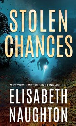 Stolen Chances image number 0
