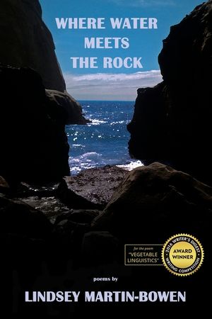 Where Water Meets the Rock image number 0
